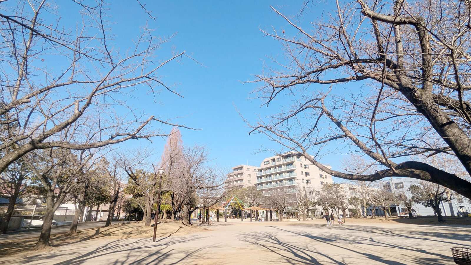 東葛西さくら公園