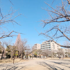 東葛西さくら公園